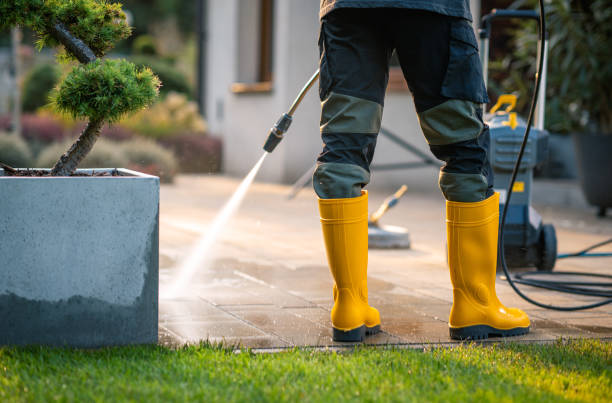 Best Exterior Home Cleaning  in Atkinson, IL